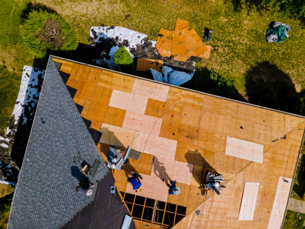 Best Roof Gutter Cleaning  in Eveleth, MN
